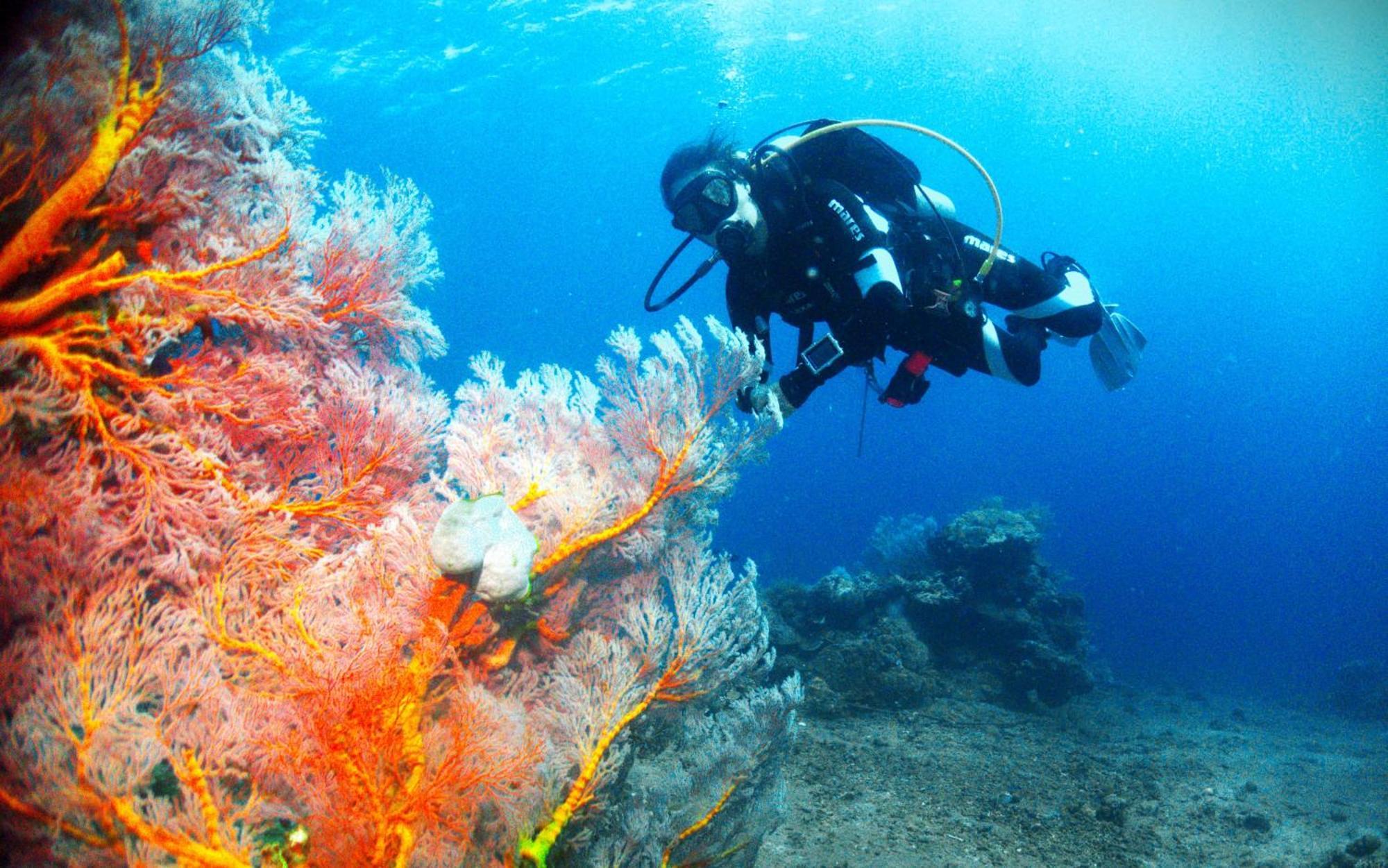 Kura Kura Divers Lodge Amed Dış mekan fotoğraf